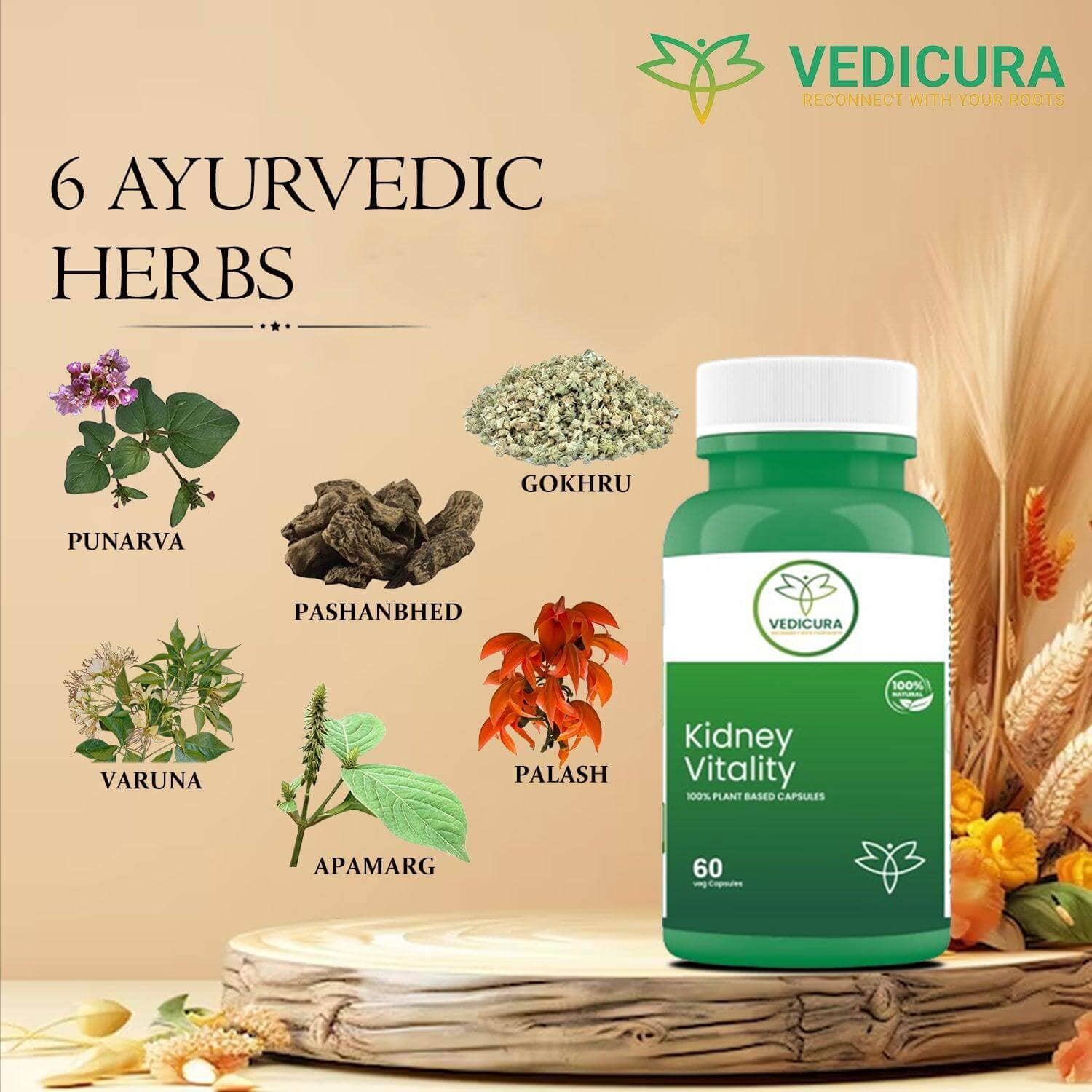 Kidney Vitality: Natural Assistance for Kidney Health and Urinary Wellness - 60 Capsules - VEDICURA